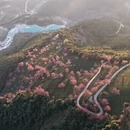 大理州旅游 缩略图 6