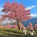 大理州旅游 缩略图 5
