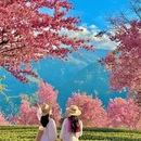 大理州旅游 缩略图 8