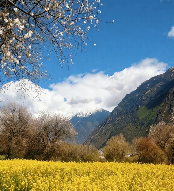 林芝旅游 1