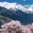 林芝旅游 缩略图 5