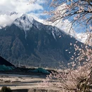 林芝旅游 缩略图 2