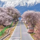 林芝旅游 缩略图 4