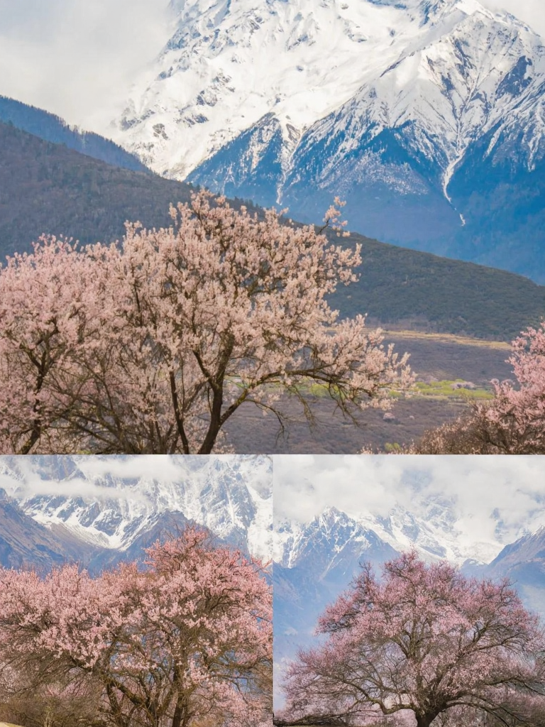 林芝旅游
