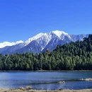 林芝旅游 缩略图 7