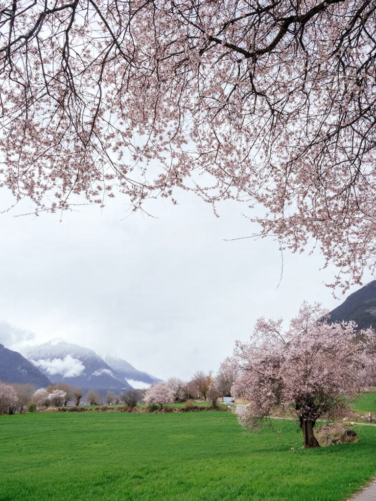 林芝旅游