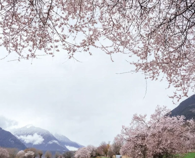 林芝旅游 1