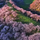 林芝旅游 缩略图 3