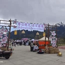 林芝旅游 缩略图 7