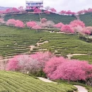 龙岩旅游 缩略图 1