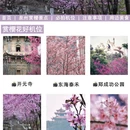 泉州旅游 缩略图 4