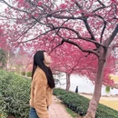 龙岩旅游 缩略图 3