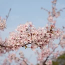 泉州旅游 缩略图 4