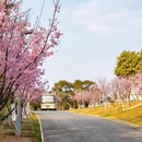 泉州旅游 缩略图 1