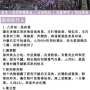 泉州旅游 缩略图 7