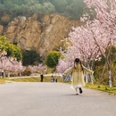 泉州旅游 缩略图 2