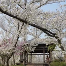 南京旅游 缩略图 4