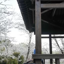 南京旅游 缩略图 11