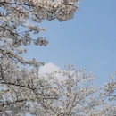 南京旅游 缩略图 3