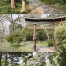 南京旅游 缩略图 8