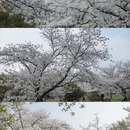 南京旅游 缩略图 9