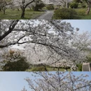 南京旅游 缩略图 6