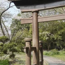 南京旅游 缩略图 10