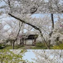 南京旅游 缩略图 7