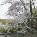 南京旅游 缩略图 14
