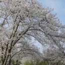 南京旅游 缩略图 15