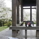 南京旅游 缩略图 17