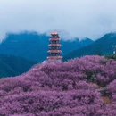 三明旅游 缩略图 5