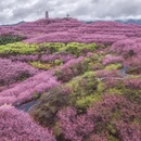 三明旅游 缩略图 7