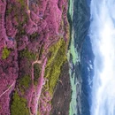 三明旅游 缩略图 10