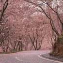 三明旅游 缩略图 2
