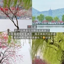 杭州旅游 缩略图 5