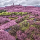 三明旅游 缩略图 9