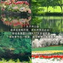 杭州旅游 缩略图 8
