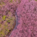 三明旅游 缩略图 8