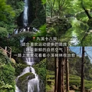 杭州旅游 缩略图 14