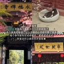 杭州旅游 缩略图 13