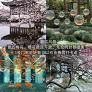 杭州旅游 缩略图 7