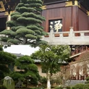 九江旅游 缩略图 13