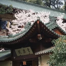 九江旅游 缩略图 18