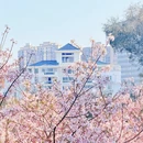 莆田旅游 缩略图 6