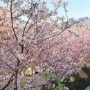 莆田旅游 缩略图 10