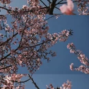 福州旅游 缩略图 11
