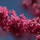 昆明旅游 缩略图 4