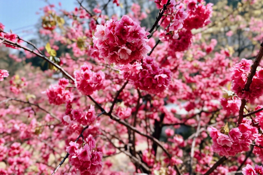 昆明旅游