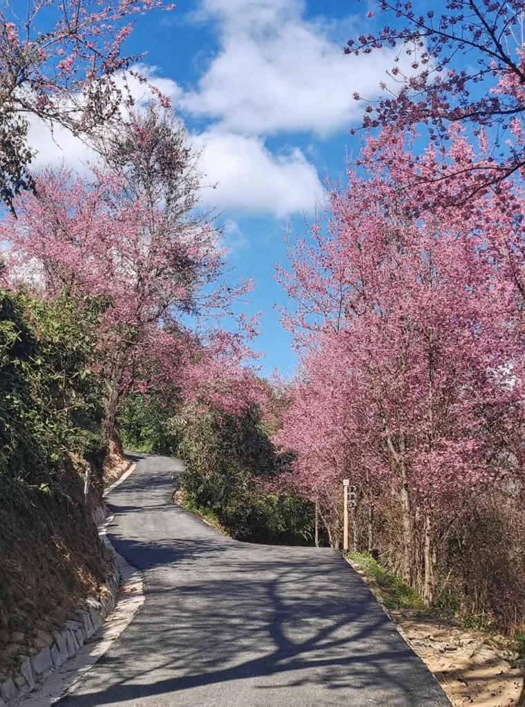 大理州旅游